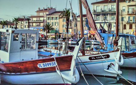Ankomst till Nice och vidare till Cannes image