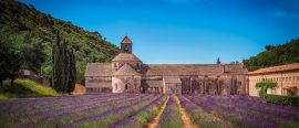 Vägen till Provence thumbnail