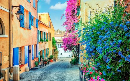 Saint Tropez med besök på vingård image