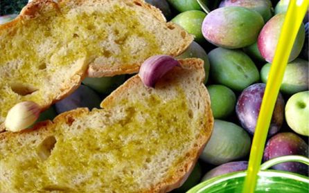 Vandring och olivolja image