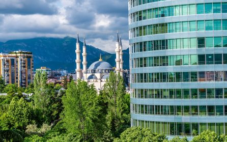Tirana och hemresa image