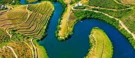 Douro thumbnail