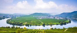 Mosel thumbnail