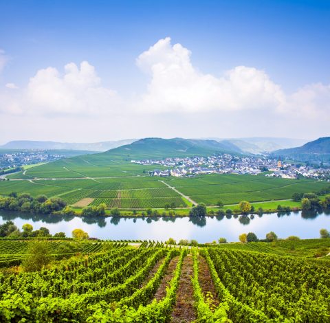 Mosel hero background image