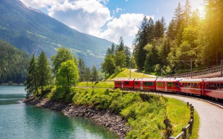 Det röda tåget Bernina Express image