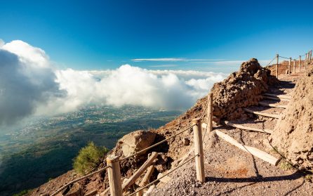 Ledig dag eller extrautflykt till vulkanen Vesuvius med lunch på vingård image