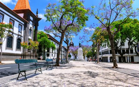 Stadspromenad i charmiga Funchal   image