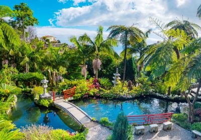Utflykt till Monte och Monte Palace Tropical Garden thumbnail