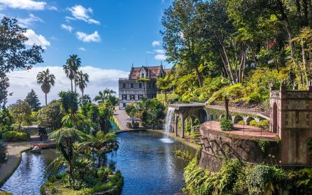 Ledig dag eller extrautflykt till Monte och Monte Palace Tropical Garden image