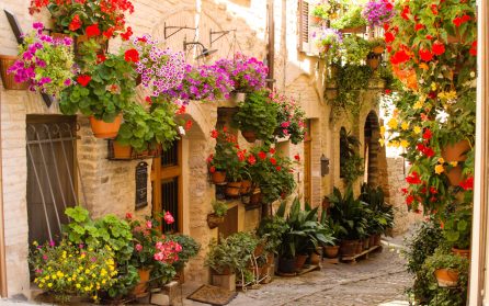 Assisi och Spello image