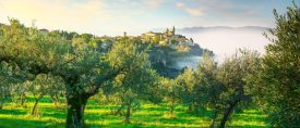 Trevi – Strövtåg i Italiens gröna hjärta thumbnail