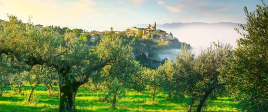 Trevi – Strövtåg i Italiens gröna hjärta hero image