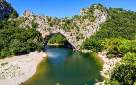 Vivers – Lyon image