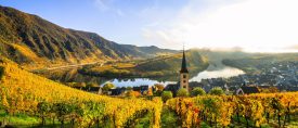 Flodkryssning på vackra Mosel & Rhen thumbnail