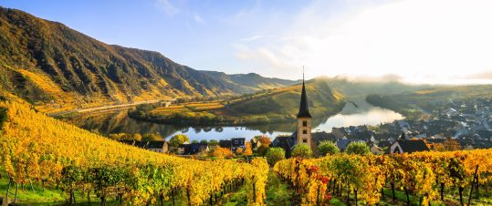 Flodkryssning på vackra Mosel & Rhen hero image