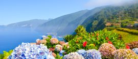 Madeira thumbnail