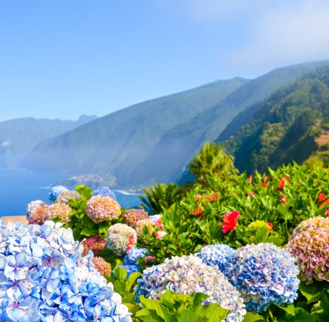 Madeira hero background image