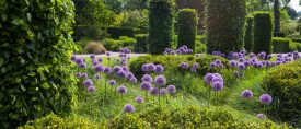 Chelsea Flower Show och engelska trädgårdar thumbnail