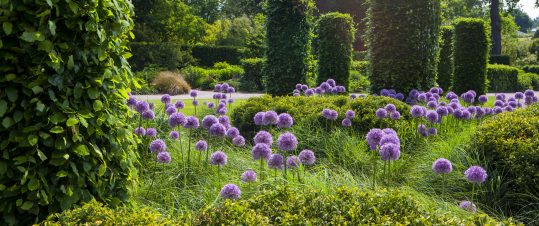 Chelsea Flower Show och engelska trädgårdar hero image