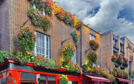 Ankomst till Dublin image