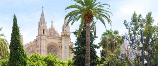 Mallorca – konst, kultur & vin hero image