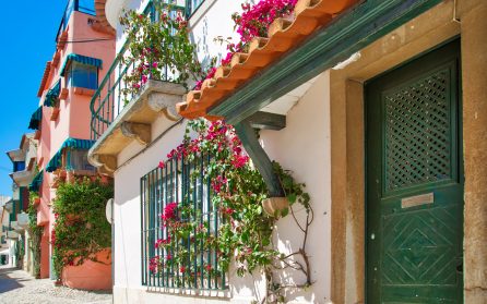 Setúbal, Arrábida och hemresa image
