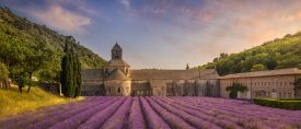 Vägen till Provence – Franska Rivieran från Cannes till Monaco thumbnail