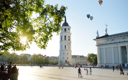 Hemresa från Vilnius image