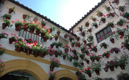 Pittoreska Córdoba med La Mesquita  image
