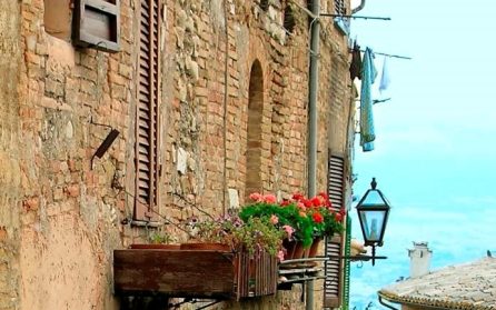 Lätt vandring och vinprovning image