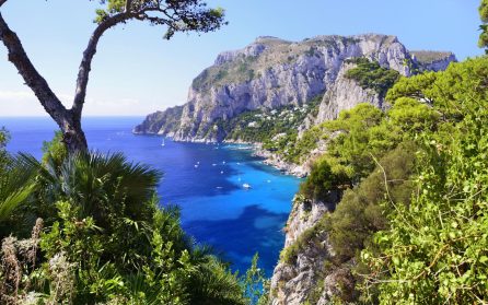 Ledig dag eller extrautflykt: Med båt till charmerande Capri image