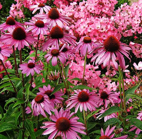 Reseledare hero background image