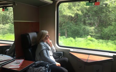 Tåg till Köpenhamn, genom Danmark till Hamburg	 image