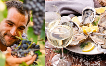 Bordeaux – Cadillac   image