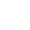 Julstjärna