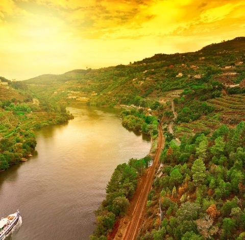 Douro hero background image