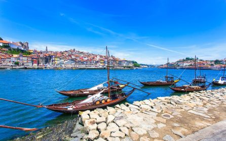 Porto och hemresa image