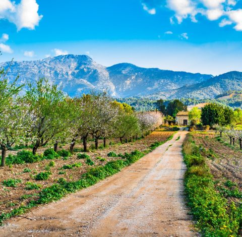 Spanien hero background image