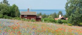 Sverige thumbnail