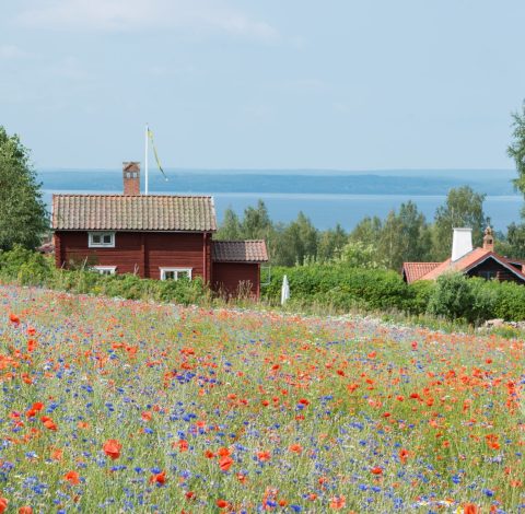 Sverige hero background image