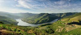 Flodkryssning på Douro – från Porto till Salamanca thumbnail
