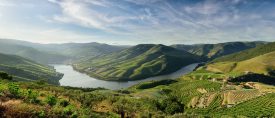 Flodkryssning på Douro – från Porto till Salamanca thumbnail
