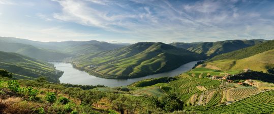 Flodkryssning på Douro – från Porto till Salamanca hero image
