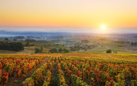 Chalon-Sur-Saône  image