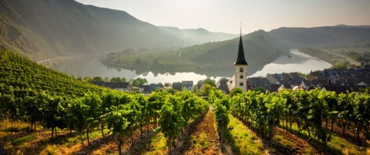 Vinkryssning på Rhen och Mosel med vinjournalisten Gunilla Hultgren Karell och tidningen Vi hero image