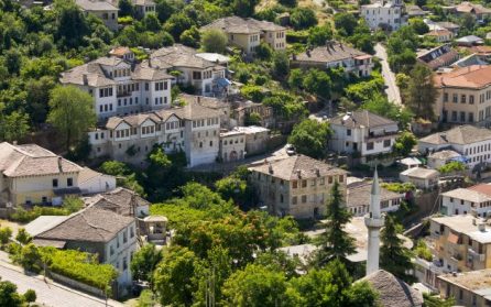 Gjirokaster med lokal gård image