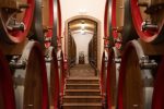 gallery image 22