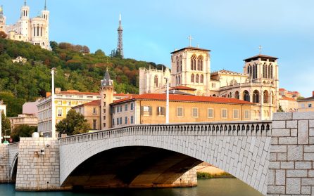 Flyg till Lyon image